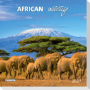 African Wildlife 2027