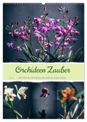 Orchideen Zauber (Wandkalender 2024 DIN A2 hoch), CALVENDO Monatskalender