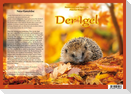 Natur-Kamishibai / Der Igel - Natur-Kamishibai