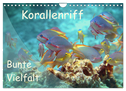 Bunte Vielfalt im Korallenriff (Wandkalender 2024 DIN A4 quer), CALVENDO Monatskalender