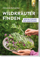 Wildkräuter finden