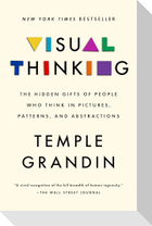 Visual Thinking