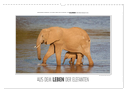Emotionale Momente: Aus dem Leben der Elefanten. / CH-Version (Wandkalender 2024 DIN A3 quer), CALVENDO Monatskalender