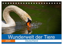 Wunderwelt der Tiere - Deutschland (Tischkalender 2024 DIN A5 quer), CALVENDO Monatskalender