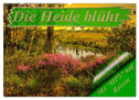 Die Heide blüht (Wandkalender 2024 DIN A2 quer), CALVENDO Monatskalender