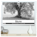Bäume - Naturschönheiten in schwarz-weiß (hochwertiger Premium Wandkalender 2024 DIN A2 quer), Kunstdruck in Hochglanz