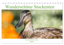 Wunderschöne Stockenten - Europäische Wasservögel (Tischkalender 2024 DIN A5 quer), CALVENDO Monatskalender