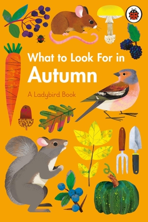 Jenner, Elizabeth. What to Look For in Autumn. Penguin, 2021.