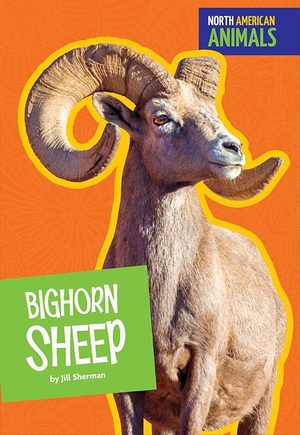 Sherman, Jill. Bighorn Sheep. Amicus, 2018.