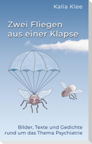 Zwei Fliegen aus einer Klapse
