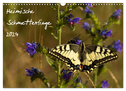 Heimische Schmetterlinge (Wandkalender 2024 DIN A3 quer), CALVENDO Monatskalender