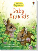 Baby Animals (Usborne Beginners)
