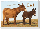 Zauberhafte Esel (Wandkalender 2024 DIN A4 quer), CALVENDO Monatskalender