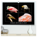 Vögel im Fokus 2025 (hochwertiger Premium Wandkalender 2025 DIN A2 quer), Kunstdruck in Hochglanz