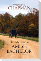 The Mysterious Amish Bachelor