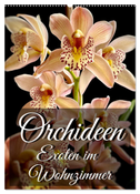 Orchideen - Exoten im Wohnzimmer (Wandkalender 2024 DIN A2 hoch), CALVENDO Monatskalender