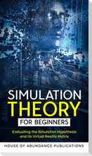 Simulation Theory for Beginners