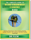 The Complete Guide to Blue Crowned Conure Bird