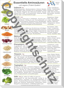 Aminosäuren und vegane Quellen