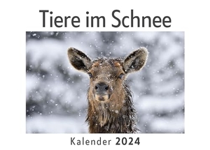 Müller, Anna. Tiere im Schnee (Wandkalender 2024, Kalender DIN A4 quer, Monatskalender im Querformat mit Kalendarium, Das perfekte Geschenk). 27amigos, 2023.