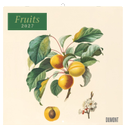 Fruits 2027