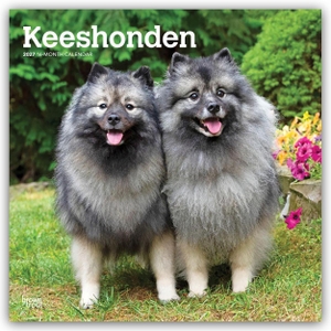 Publishers, Browntrout. Keeshonden - Wolfsspitz 2027 - 16-Monatskalender - Original BrownTrout-Kalender [Mehrsprachig] [Kalender]. Browntrout Verlags GmbH, 2026.