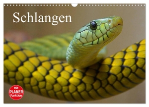 Stanzer, Elisabeth. Schlangen (Wandkalender 2024 DIN A3 quer), CALVENDO Monatskalender - Giftige und ungiftige Schlangen in beeindruckenden Farben. Calvendo, 2023.
