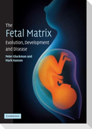 The Fetal Matrix - Evol Dev Disease