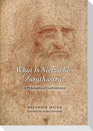 What is Nietzsche`s Zarathustra? - A Philosophical Confrontation