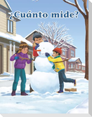 ¿Cuánto Mide?