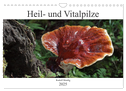 Heil- und Vitalpilze (Wandkalender 2025 DIN A4 quer), CALVENDO Monatskalender