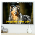 Einmal Collie - immer Collie (hochwertiger Premium Wandkalender 2025 DIN A2 quer), Kunstdruck in Hochglanz
