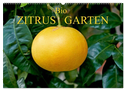 Bio Zitrus Garten (Wandkalender 2024 DIN A2 quer), CALVENDO Monatskalender