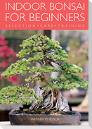 Indoor Bonsai for Beginners