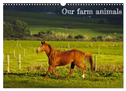 Our farm animals (Wall Calendar 2025 DIN A3 landscape), CALVENDO 12 Month Wall Calendar