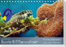 Bunte Riffbewohner - Fische, Anemonen und noch viel mehr (Tischkalender immerwährend DIN A5 quer)