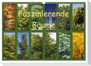 Faszinierende Bäume (Wandkalender 2024 DIN A3 quer), CALVENDO Monatskalender