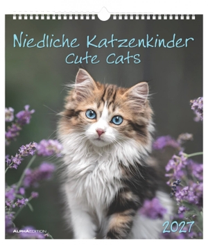 Neumann Verlage GmbH & Co KG (Hrsg.). Niedliche Katzenkinder 2027 - Wandkalender 30x34 cm mit 12 Katzenbaby-Motiven, Monatsübersicht und 4-sprachigem Kalendarium. Neumann Verlage GmbH & Co, 2026.