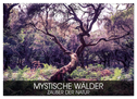 Mystische Wälder - Zauber der Natur (Wandkalender 2025 DIN A2 quer), CALVENDO Monatskalender