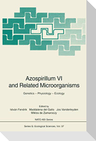 Azospirillum VI and Related Microorganisms