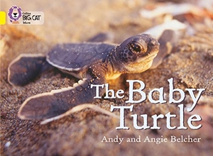 Belcher, Andy / Angie Belcher. The Baby Turtle - Band 03/Yellow. HarperCollins Publishers, 2007.