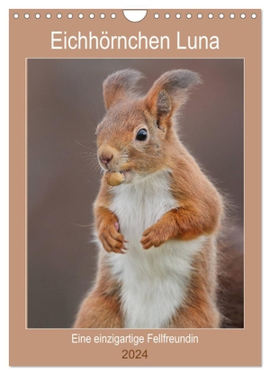 Meier, Tine. Eichhörnchen Luna (Wandkalender 2024 DIN A4 hoch), CALVENDO Monatskalender - Zauberhafte Bilder einer einzigartigen Fellfreundin. Calvendo, 2023.