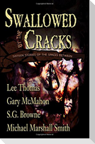 Swallowed By The Cracks