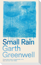 Small Rain