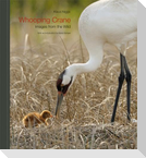 Whooping Crane