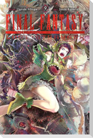 Final Fantasy Lost Stranger, Vol. 9