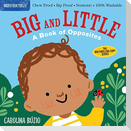 Indestructibles: Big and Little: A Book of Opposites