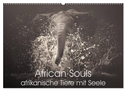 African Souls - afrikanische Tiere mit Seele (Wandkalender 2025 DIN A2 quer), CALVENDO Monatskalender