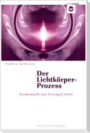 Der Lichtkörper-Prozess