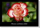 Pflanzen und Blüten 2023 Fotokalender DIN A3